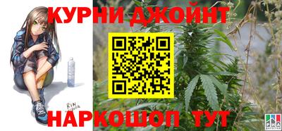 индика Пугачёв