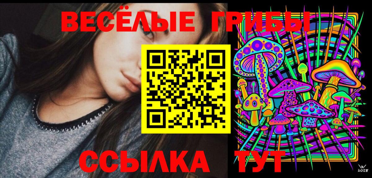 Серпухов  Галлюциногенные грибы Cubensis  Вход с VPN 